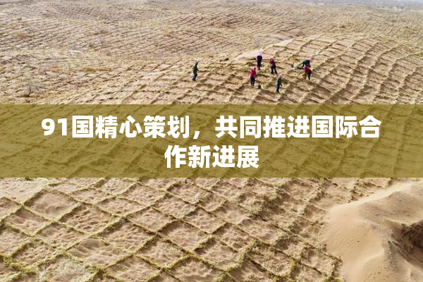 91国精心策划，共同推进国际合作新进展