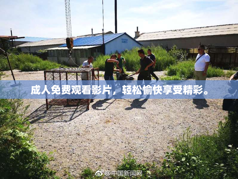 成人免费观看影片，轻松愉快享受精彩。