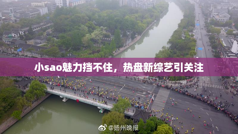 小sao魅力挡不住，热盘新综艺引关注