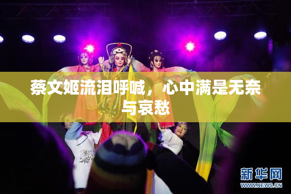 蔡文姬流泪呼喊，心中满是无奈与哀愁