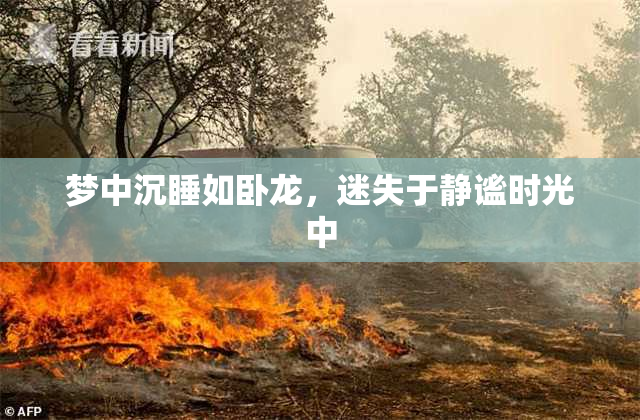 梦中沉睡如卧龙，迷失于静谧时光中