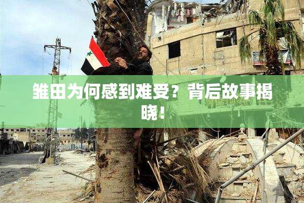 雏田为何感到难受？背后故事揭晓！