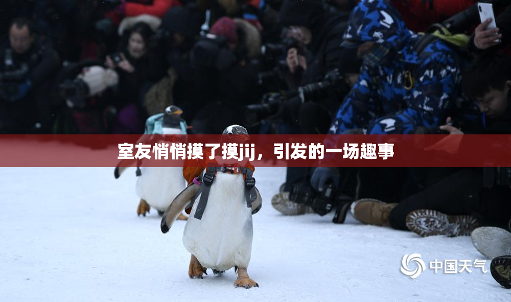 室友悄悄摸了摸jij，引发的一场趣事