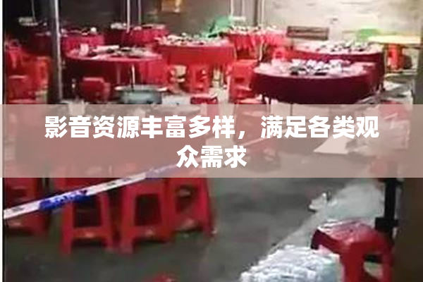 影音资源丰富多样，满足各类观众需求