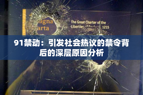 91禁动：引发社会热议的禁令背后的深层原因分析