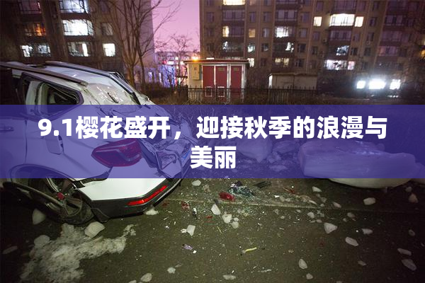 9.1樱花盛开，迎接秋季的浪漫与美丽