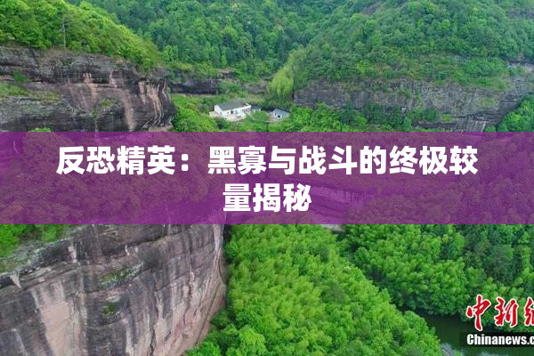 反恐精英：黑寡与战斗的终极较量揭秘