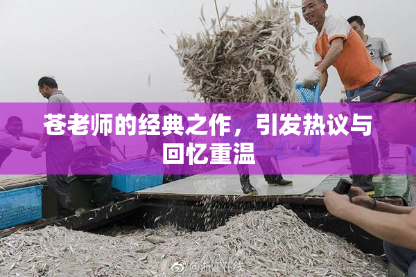 苍老师的经典之作，引发热议与回忆重温