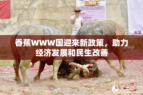 香蕉WWW国迎来新政策，助力经济发展和民生改善