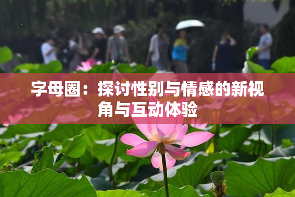 字母圈：探讨性别与情感的新视角与互动体验