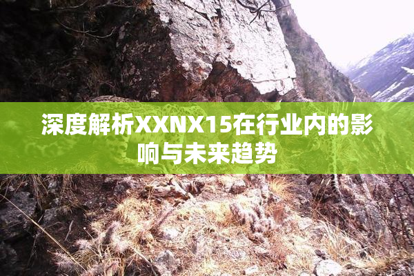 深度解析XXNX15在行业内的影响与未来趋势