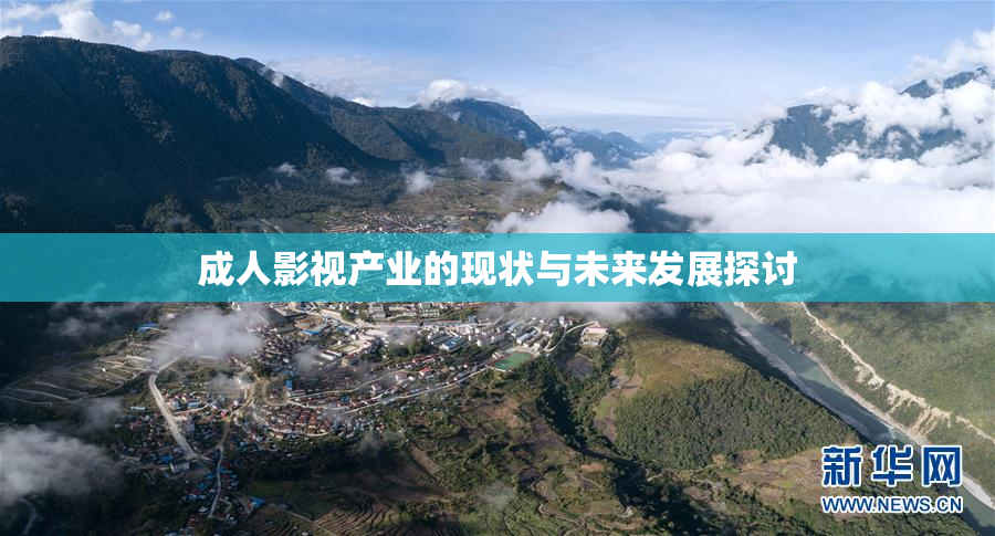成人影视产业的现状与未来发展探讨