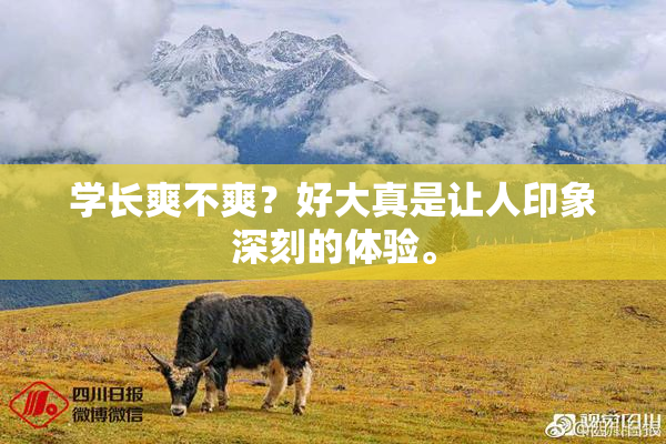 学长爽不爽？好大真是让人印象深刻的体验。