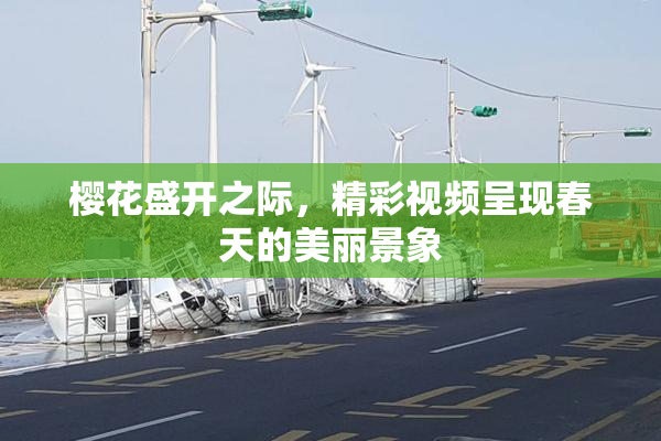 樱花盛开之际，精彩视频呈现春天的美丽景象