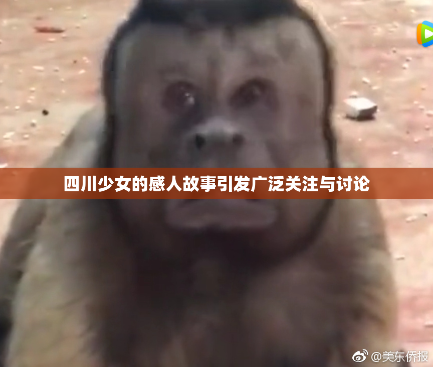 四川少女的感人故事引发广泛关注与讨论