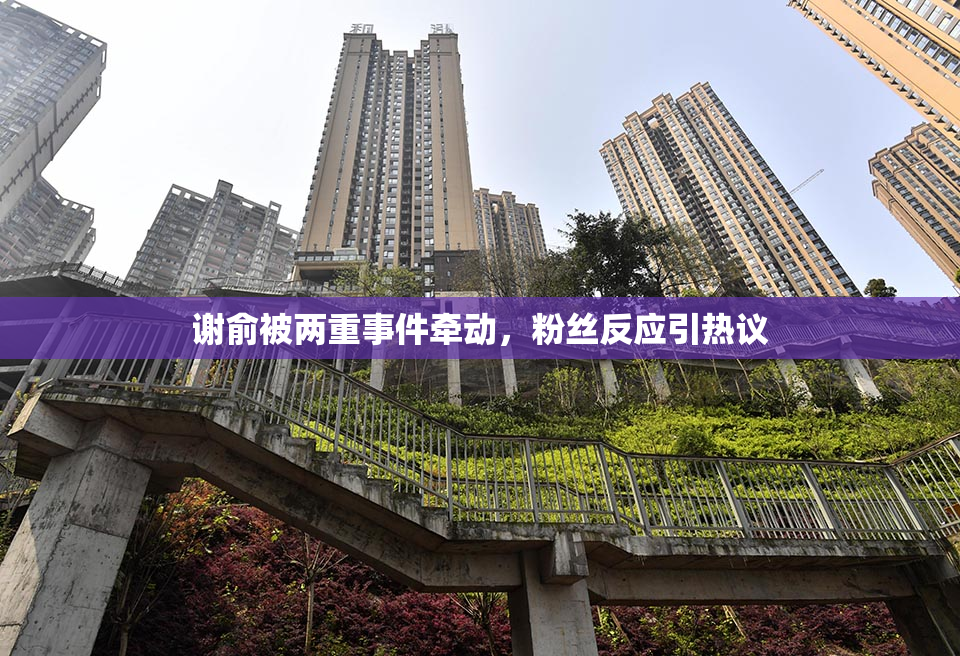 谢俞被两重事件牵动，粉丝反应引热议