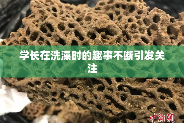 学长在洗澡时的趣事不断引发关注