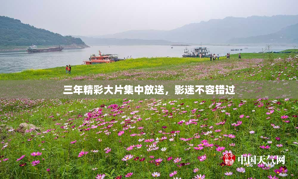 三年精彩大片集中放送，影迷不容错过