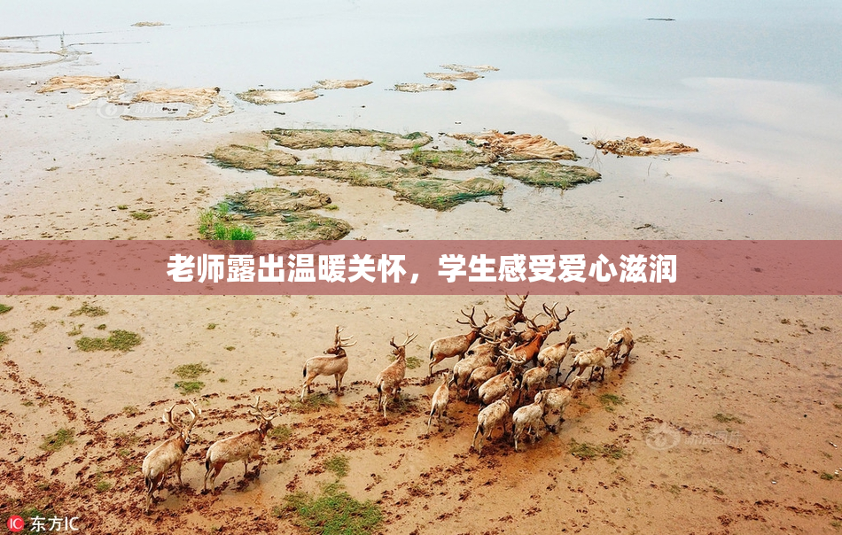 老师露出温暖关怀，学生感受爱心滋润