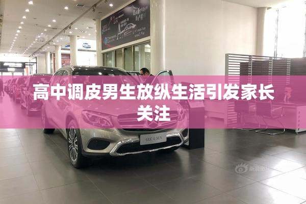 高中调皮男生放纵生活引发家长关注