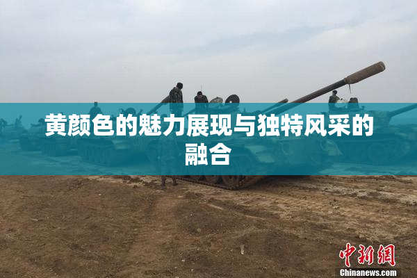 黄颜色的魅力展现与独特风采的融合