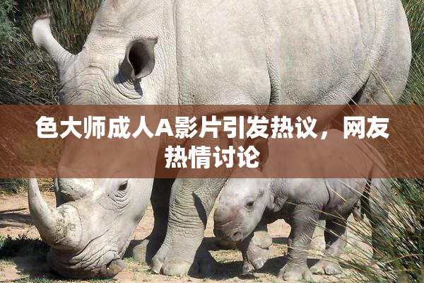 色大师成人A影片引发热议，网友热情讨论