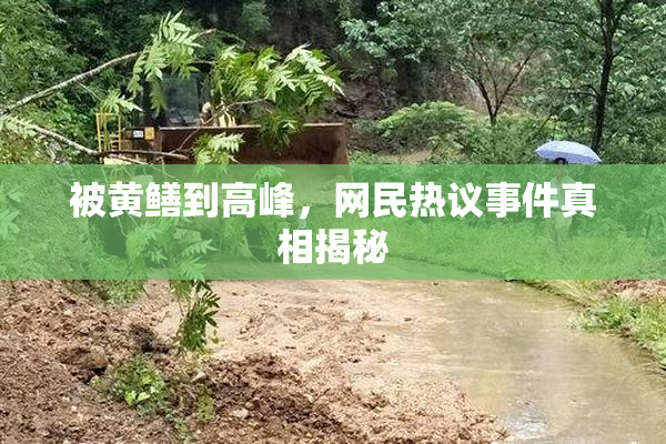 被黄鳝到高峰，网民热议事件真相揭秘