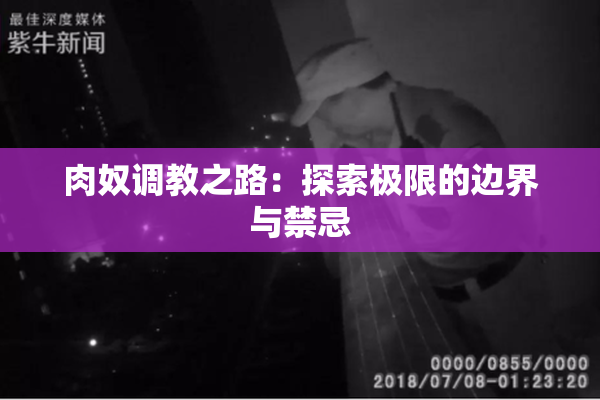 肉奴调教之路：探索极限的边界与禁忌