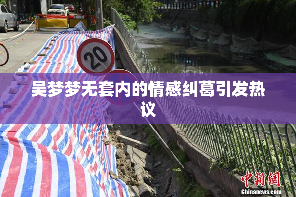 吴梦梦无套内的情感纠葛引发热议