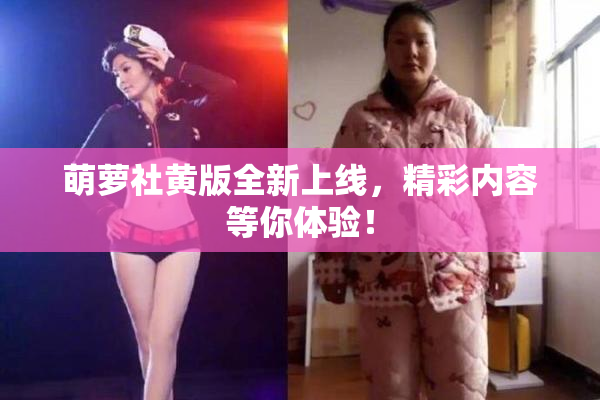 萌萝社黄版全新上线，精彩内容等你体验！