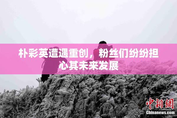 朴彩英遭遇重创，粉丝们纷纷担心其未来发展