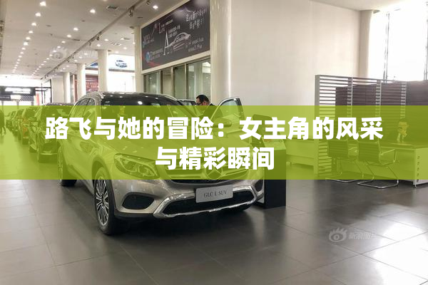 路飞与她的冒险：女主角的风采与精彩瞬间
