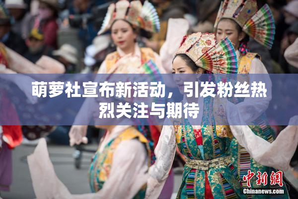 萌萝社宣布新活动，引发粉丝热烈关注与期待