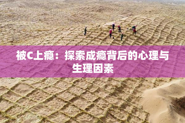 被C上瘾：探索成瘾背后的心理与生理因素