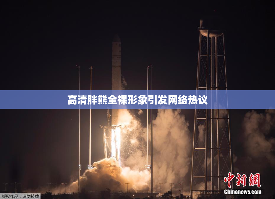 高清胖熊全裸形象引发网络热议