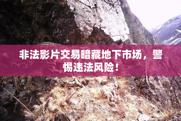 非法影片交易暗藏地下市场，警惕违法风险！
