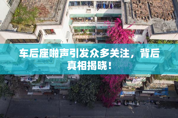 车后座啪声引发众多关注，背后真相揭晓！