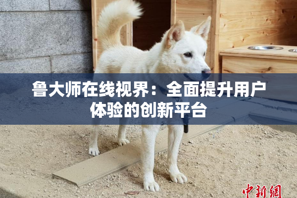 鲁大师在线视界：全面提升用户体验的创新平台