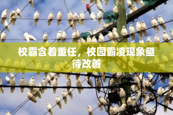 校霸含着重任，校园霸凌现象亟待改善