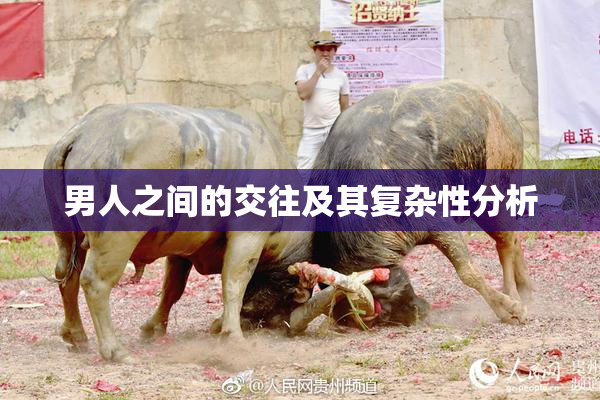 男人之间的交往及其复杂性分析