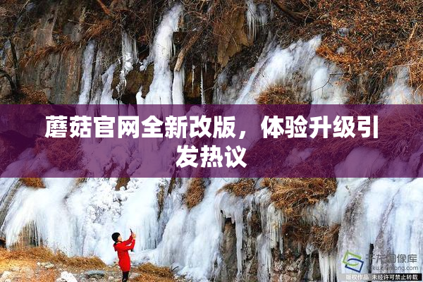 蘑菇官网全新改版，体验升级引发热议