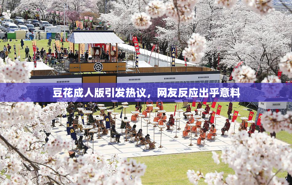 豆花成人版引发热议，网友反应出乎意料
