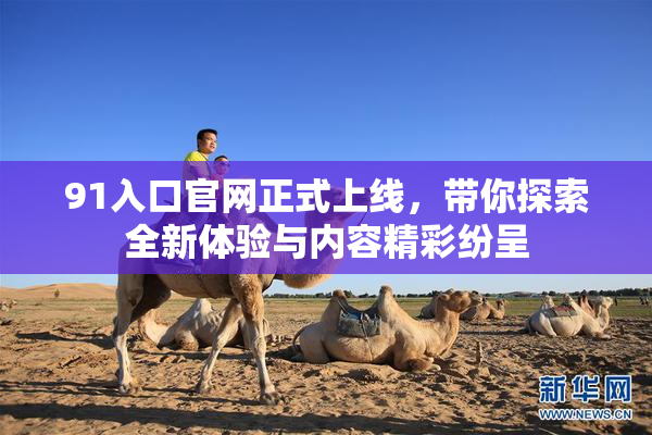 91入口官网正式上线，带你探索全新体验与内容精彩纷呈