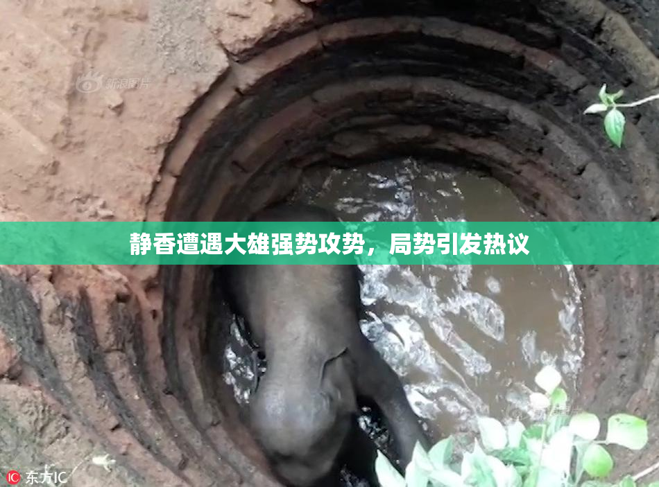 静香遭遇大雄强势攻势，局势引发热议