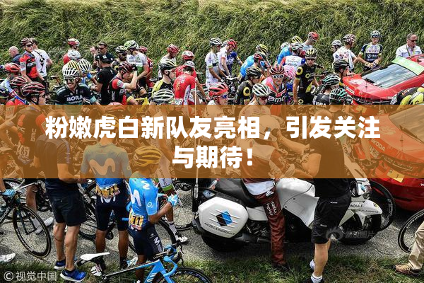 粉嫩虎白新队友亮相，引发关注与期待！