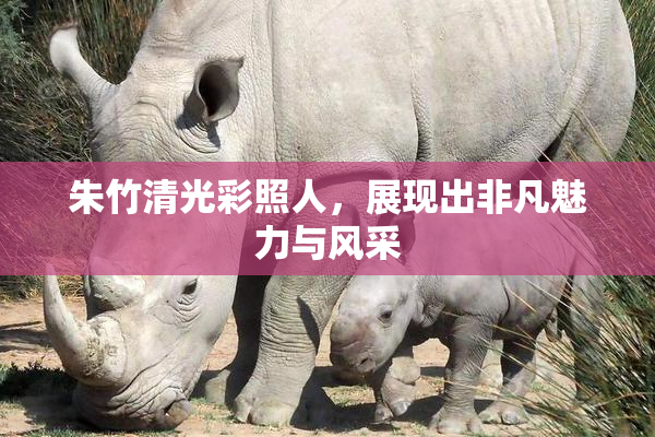 朱竹清光彩照人，展现出非凡魅力与风采