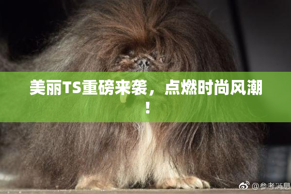 美丽TS重磅来袭，点燃时尚风潮！