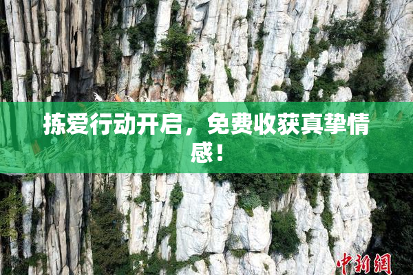 拣爱行动开启，免费收获真挚情感！