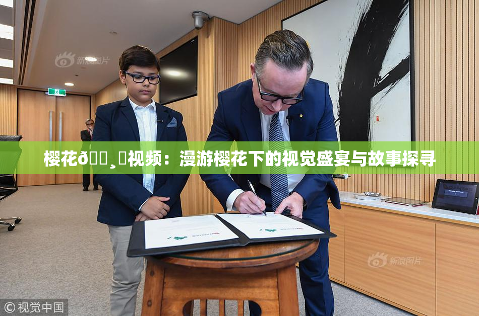 樱花🌸‌视频：漫游樱花下的视觉盛宴与故事探寻