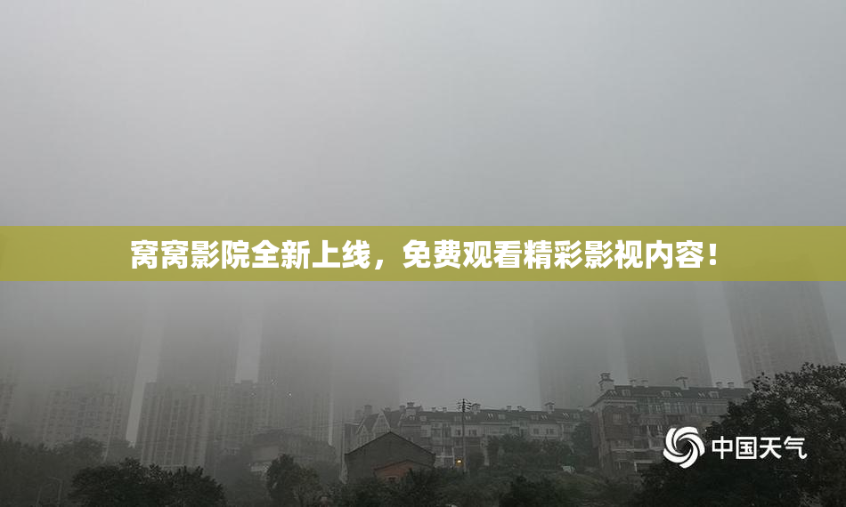 窝窝影院全新上线，免费观看精彩影视内容！